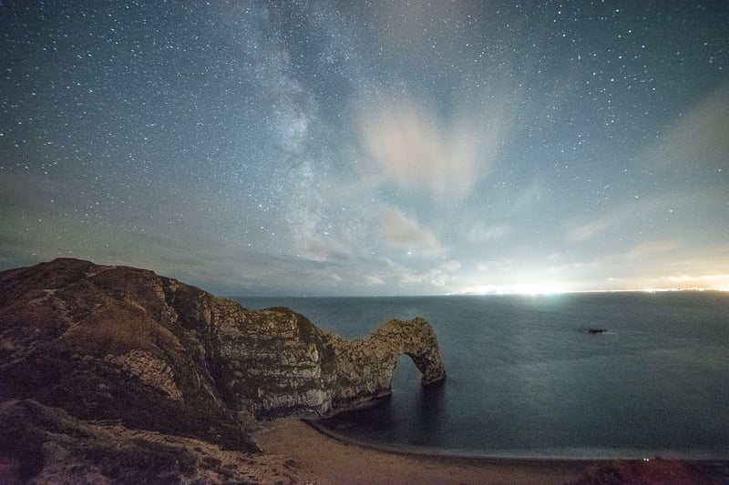 Jurassic Coast Fossils